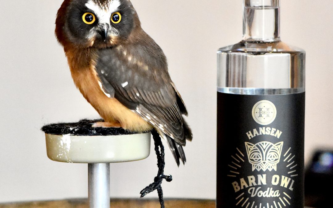 Barn Owl Gold Vodka Now Available