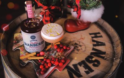 Tyler’s Christmas Cocktail | Featuring Mulled Cranberry Moonshine